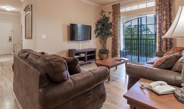 living room with light hardwood / wood-style flooring and ornamental molding