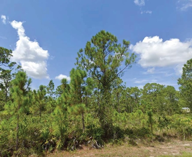 13542 Sulky Dr, Punta Gorda FL, 33955 land for sale