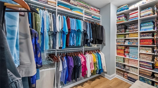 spacious closet with hardwood / wood-style floors