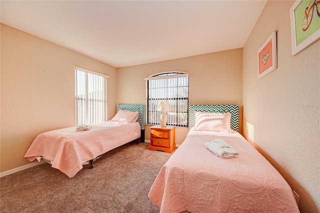 bedroom featuring multiple windows and carpet flooring