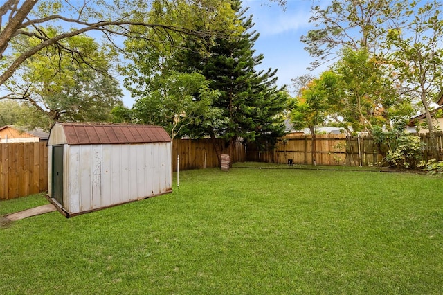 view of yard featuring a storage shed