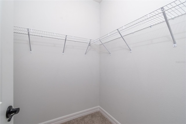 spacious closet with carpet flooring