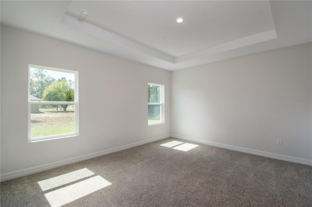 carpeted spare room with a raised ceiling, a wealth of natural light, and baseboards