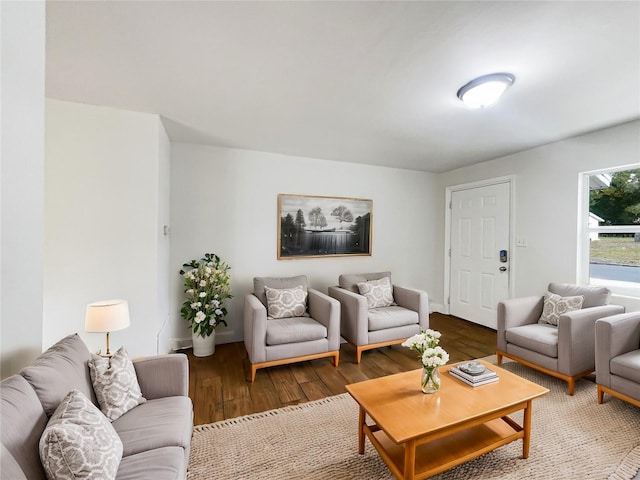 living room featuring hardwood / wood-style flooring