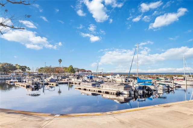 dock area featuring a water view