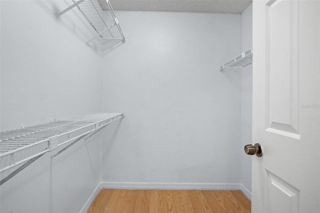 spacious closet with light hardwood / wood-style floors