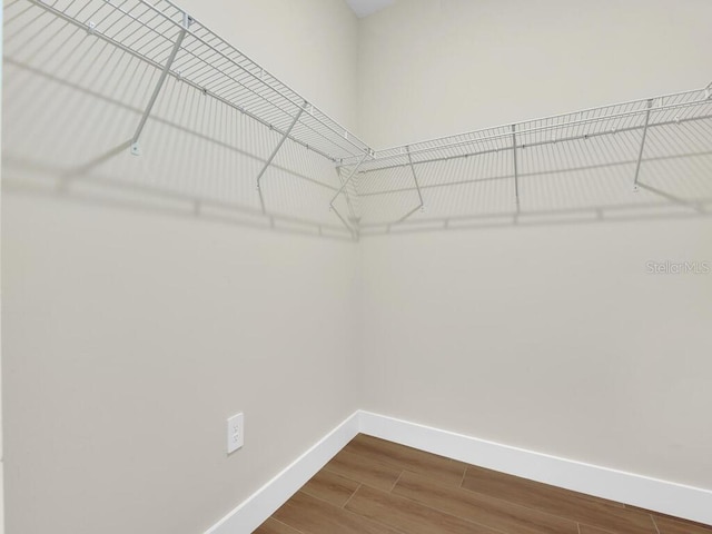 walk in closet with hardwood / wood-style floors