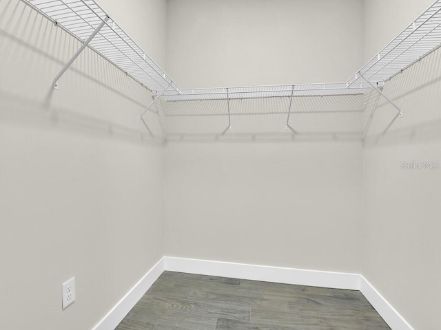 walk in closet featuring wood finished floors