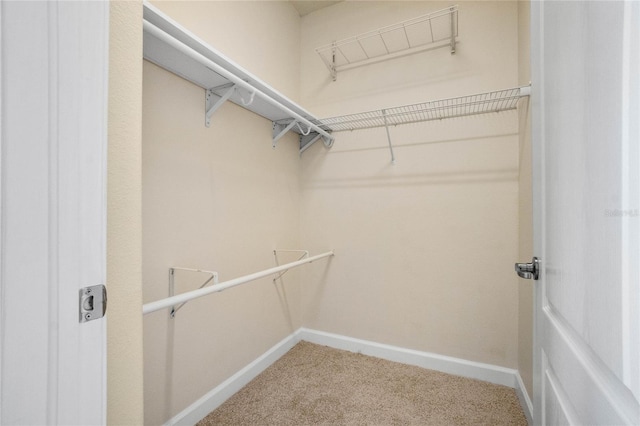 spacious closet with carpet flooring