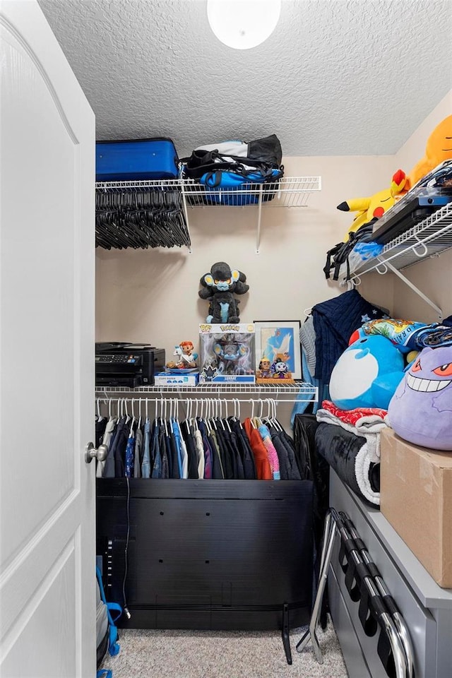 spacious closet featuring light colored carpet