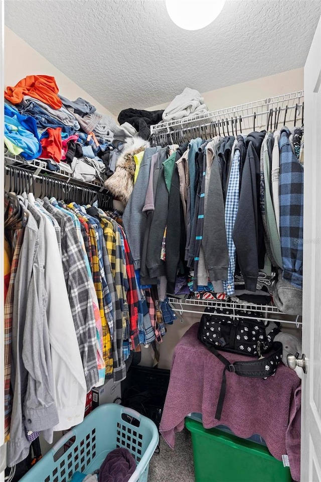 spacious closet with carpet