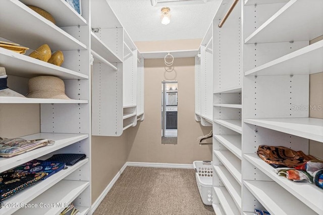 spacious closet with light carpet