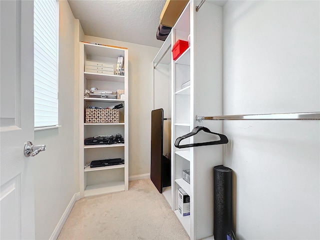 walk in closet featuring light colored carpet