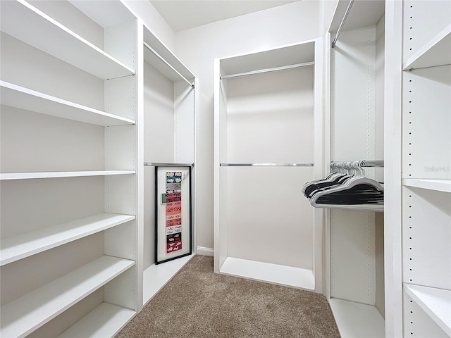 spacious closet with carpet flooring and wine cooler