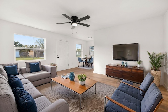 living room with ceiling fan, plenty of natural light, and light hardwood / wood-style floors