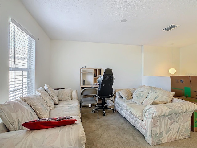 living room featuring light colored carpet and a textured ceiling