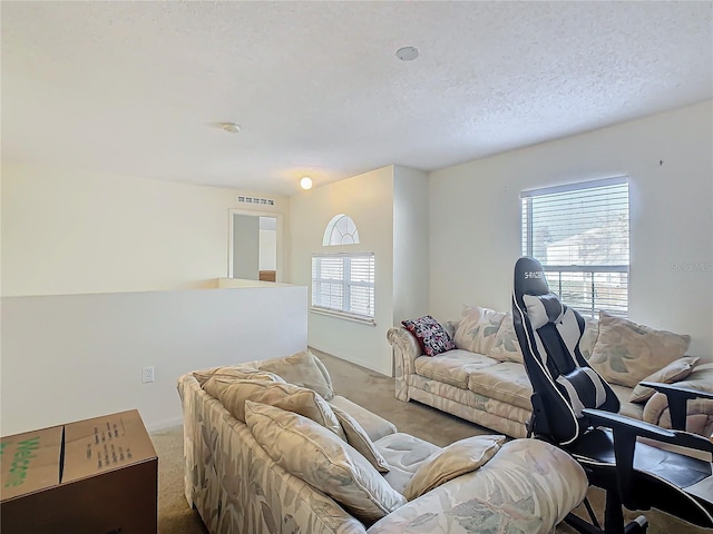 carpeted living room with a textured ceiling