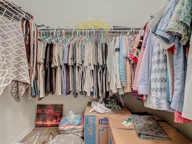 view of spacious closet