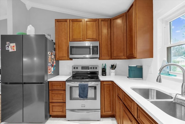 kitchen featuring plenty of natural light, sink, lofted ceiling, and stainless steel appliances