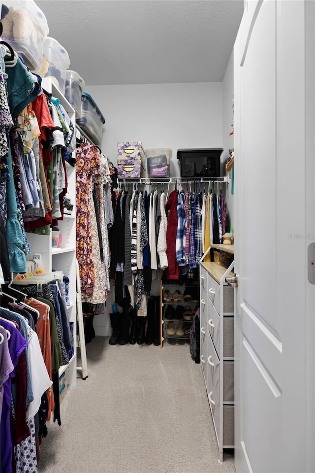 walk in closet with light colored carpet