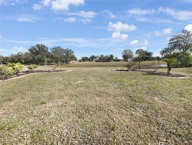 view of yard with a rural view