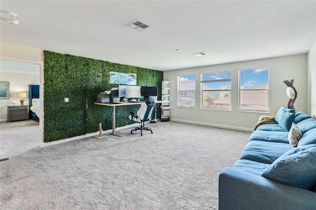 office space with carpet flooring and a textured ceiling