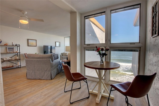 dining space with ceiling fan and light hardwood / wood-style floors