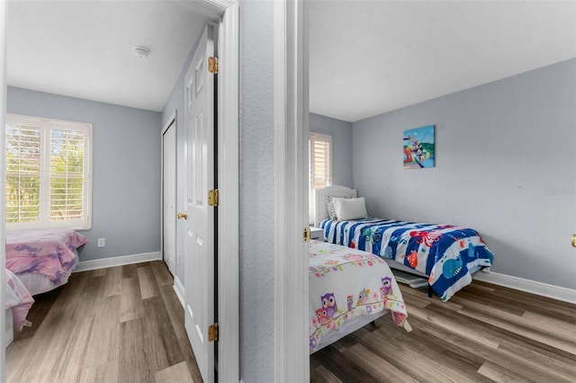 bedroom featuring multiple windows and wood-type flooring