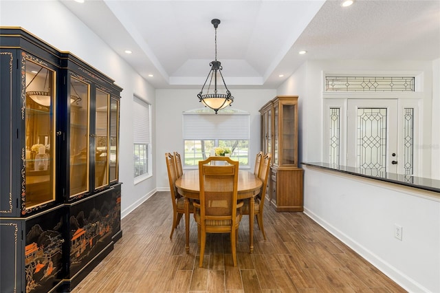 dining room featuring a raised ceiling