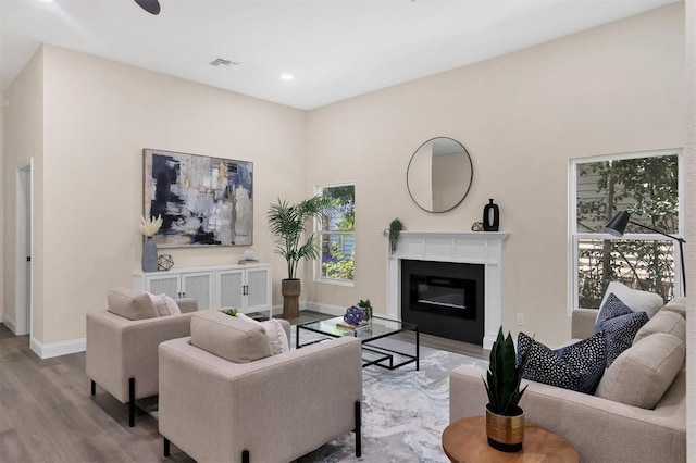 living room featuring light hardwood / wood-style floors