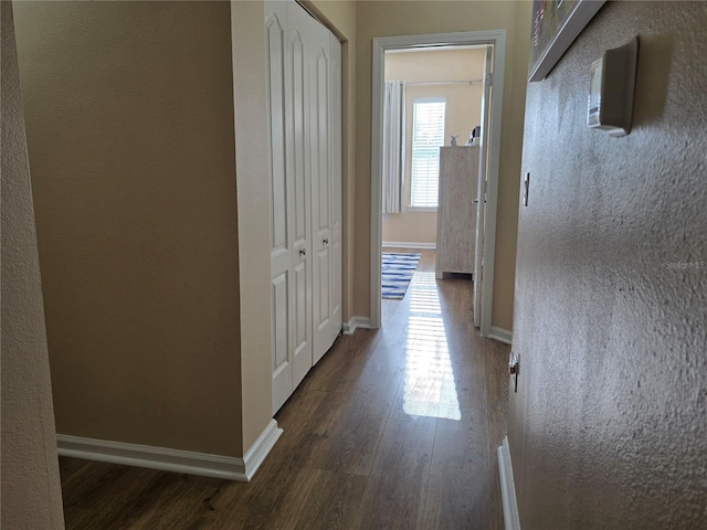 corridor featuring dark hardwood / wood-style flooring