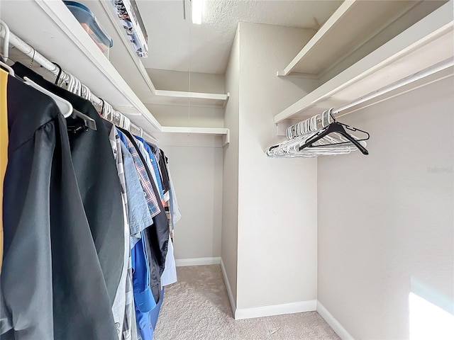 walk in closet with light colored carpet