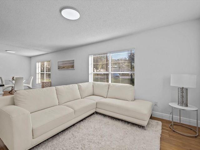 living room featuring hardwood / wood-style floors and a textured ceiling