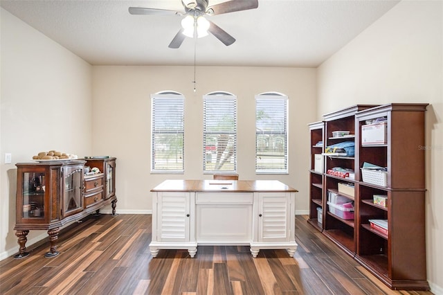 office featuring ceiling fan and dark hardwood / wood-style flooring