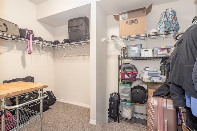 walk in closet featuring carpet flooring