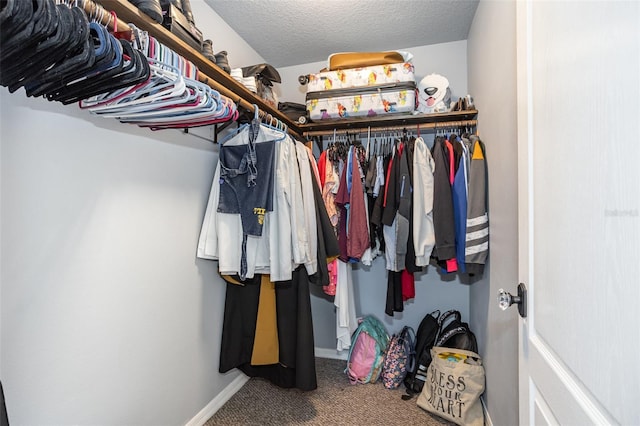 walk in closet featuring carpet floors