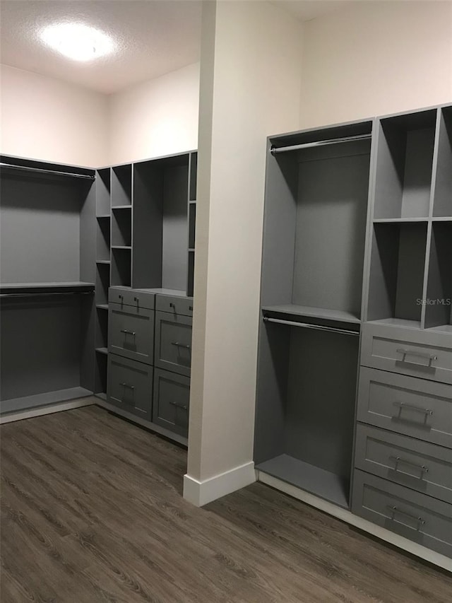 spacious closet with dark wood-style flooring