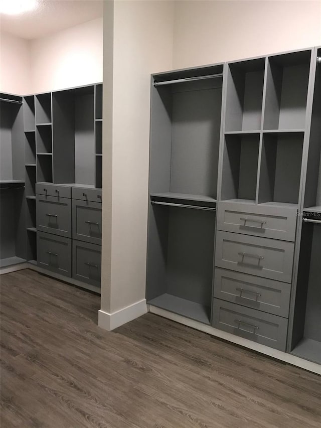 spacious closet with dark wood-type flooring