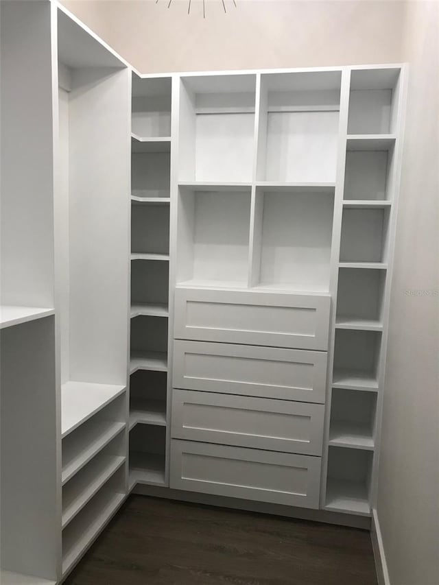 spacious closet with dark wood finished floors