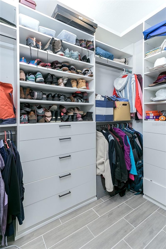 view of walk in closet