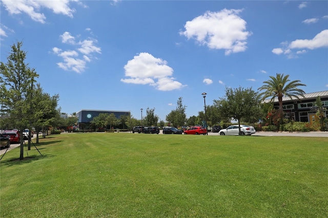 view of community featuring a lawn