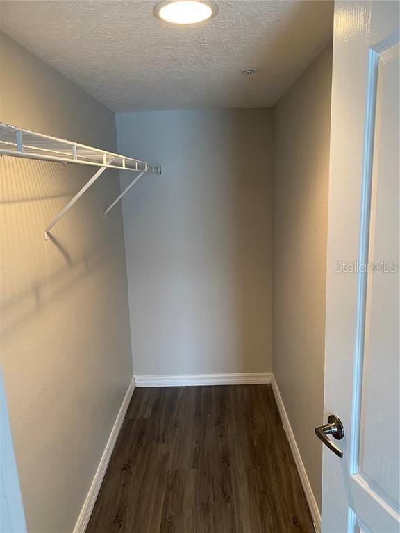 walk in closet featuring dark hardwood / wood-style flooring