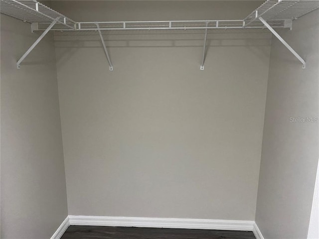 walk in closet featuring dark hardwood / wood-style flooring