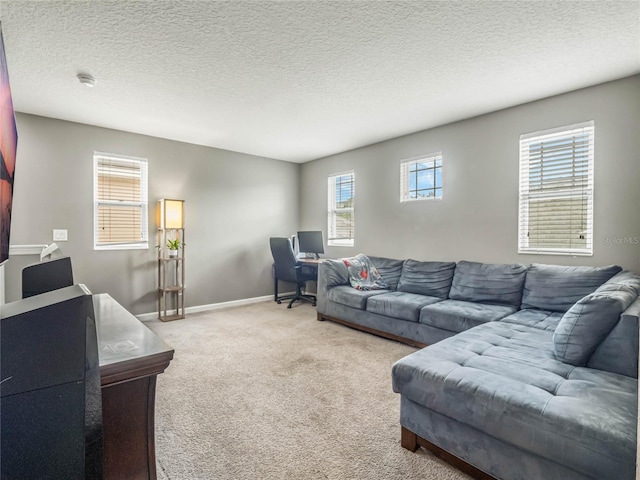 carpeted living room with a textured ceiling