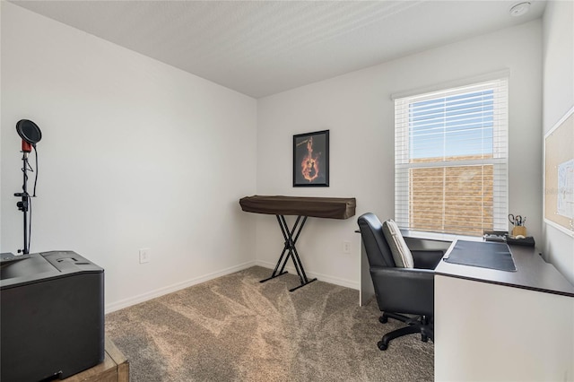 office area featuring carpet