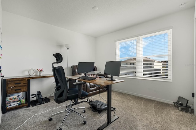 office space with carpet floors