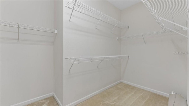 walk in closet with carpet