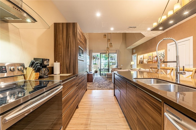 kitchen with stainless steel appliances, range hood, and sink