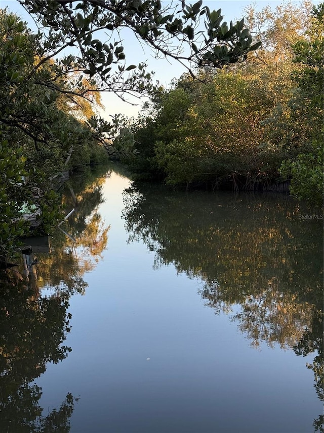 view of water feature