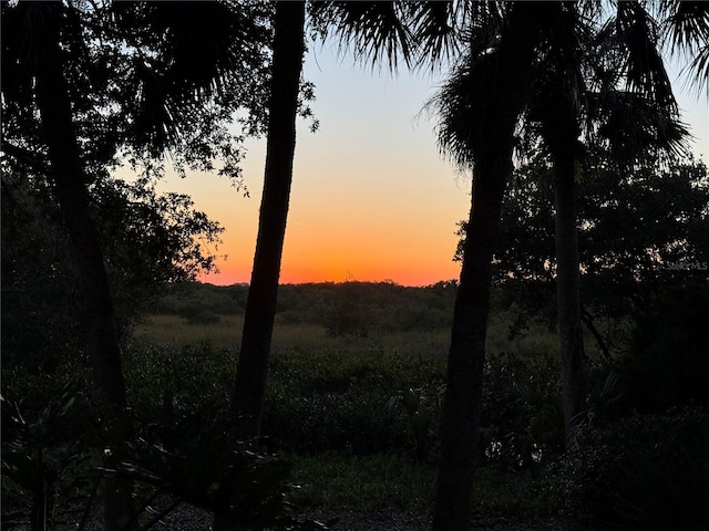 view of nature at dusk